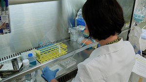 Author Spotlight: Advancing Hepatocyte Purification from Human Induced Pluripotent Stem Cells for Regenerative Medicine