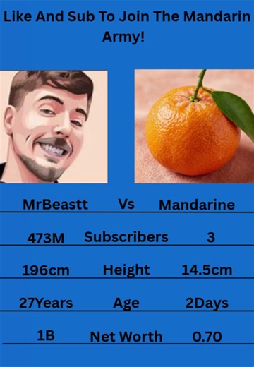 Mrbeastt Vs Mandarin