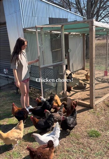 Spring Cleaning the Chicken Coop
