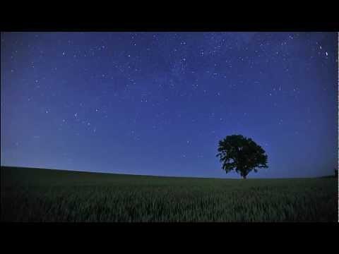 美瑛町 哲学の木と星の見える光景 ゛月没後の絶景゛