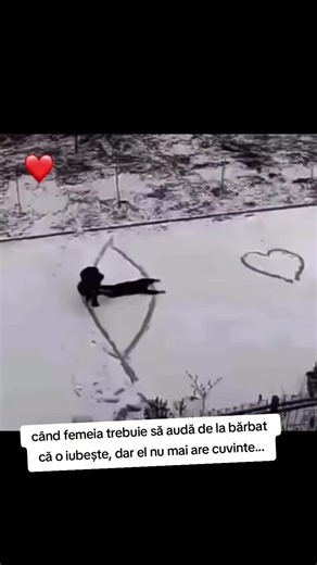 Videoclipuri postate de Joker's Realm Community (@jokersrealmcommunity11) cu sunet original - Eugen Fluture