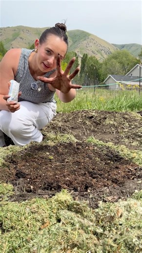 GIANT PUMPKIN PLANTING AS A BEGINNER 🎃 Can I grow a 200+ pound pumpkin? #giantpumpkin #planting