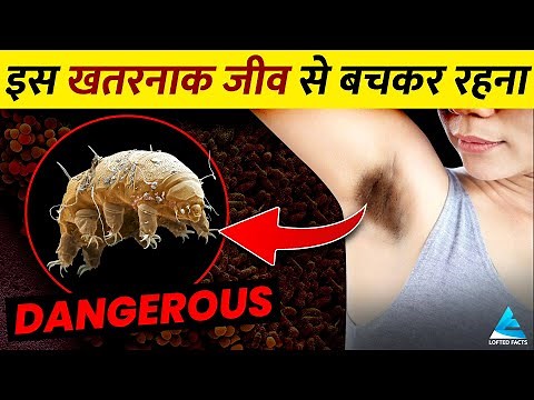 Tardigrades: The Ultimate Survivors of Nature