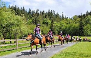 Timberline Ranch - British Columbia Day & Overnight Camp