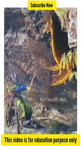 1M views · 5.9K reactions | https://youtube.com/@RedThoughtsArul...