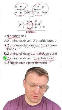 MCQ: Proteins