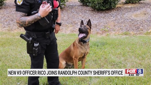 12K views · 279 reactions | Introducing K9 Rico. Thank you WGHP FOX 8 for your coverage of this addition. #wghpfox8 | Randolph County Sheriff's Office, NC | Facebook