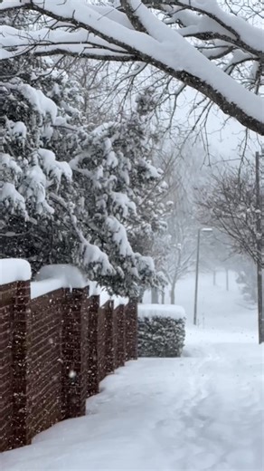 11” and still snowing. Be still my 🇨🇦❤️ | Wendy Anne