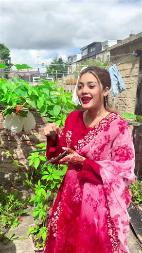Thank you Afa for your kodu — gratitude message to Masheda