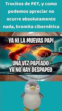 Pingu teaches you: Destroying a bottle #experiment #chemistry #science #experiment