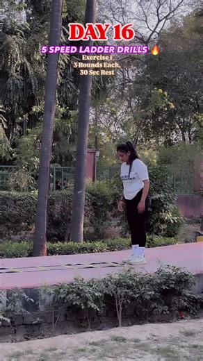 Improve Speed and Agility with Ladder Drills