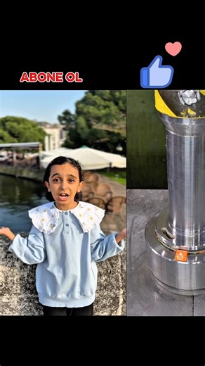 Do you think he'll jump into the sea? #shorts #viralvideo #trending #explore #youtube