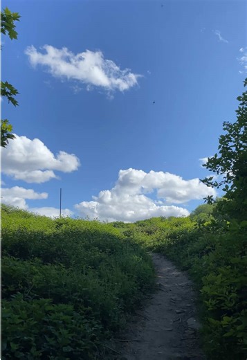 danny | travel & aesthetic on TikTok