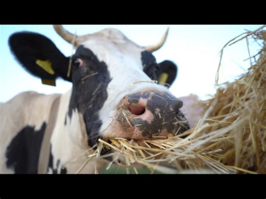 帝豪ev300续航测试