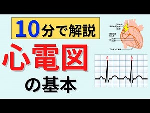 【10分で解説】心電図の基本について解説
