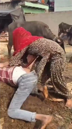 New funny shorts 😂 trending searches 🖇️