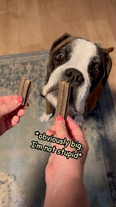 1.6M views · 10K reactions | We split a treat in half for them at bedtime every night and let them take turns to choose which half they get. ❤️ #boxerdog #labrador | Bobby from the bin | Facebook