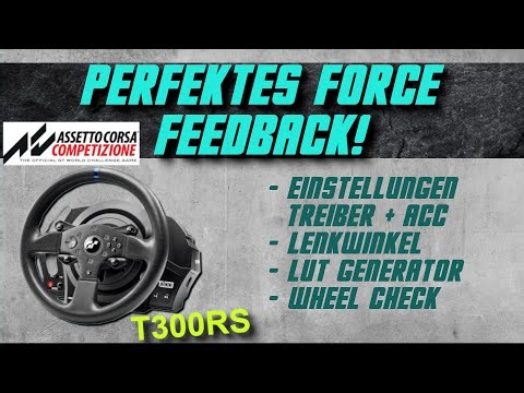 ACC - Guide - Perfektes Force Feedback! T300RS