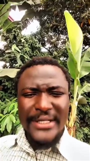 81K views · 3.2K reactions | Nana Addo Dankwa Akufo-Addo will forever...