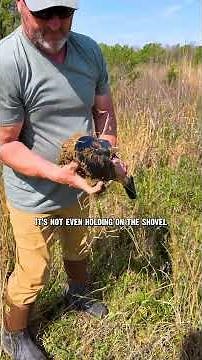 The effects of disking your plot!