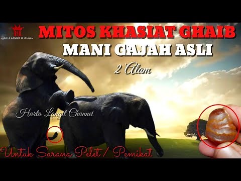 Efficacy and Benefits of Original Elephant Semen