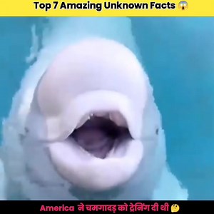 Experiment गुरुजी Top 7 Crazy Facts about animals #experiment_गुरुजी #experiment_guruji #expwriment_गुरुजी #experimentguruji #trendingreels #reelsinstagram #amazingfactshindi #mounteverestofficial #explorepage #interstingfacts #crazy #animals #facts #crazy_facts_about_animals #crazy #crazyfacts | Fact Akz