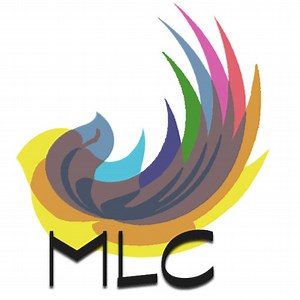 Multicultural Leadership Council | Just another Studentorg Sites site
