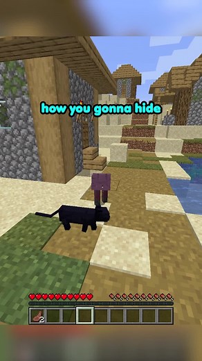 I Meowed and This Happened! Minecraft Mob Hunt Funny Gaming