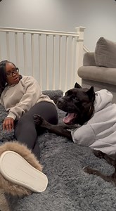 I can’t believe he pushed me out of his bed 😭 #familyfun #petdeals #Christmas | Raising Bane