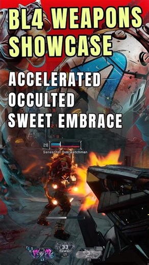 This gun melts everyone | Accelerated Occulted Sweet Embrace | BL4 Weapons Showcase #5 |
