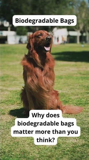 Stop Plastic Waste with Eco Poop Bags (Eco Tip #17)31