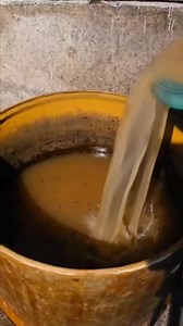 18 reactions | Georgi Minchev Georgiev on Reels | Facebook