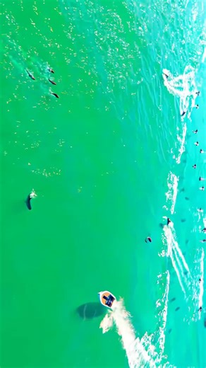 Death💀Stroke on Instagram: "GTA 6 4k ultra Edit #frp #officialaccount #likecommentshare #growmyaccount📈 #foryoupage❤️❤️ #millionviewsreels #newreelspost #gta6gamingworld #viral_video #bdinstragramofficial🇧🇩"