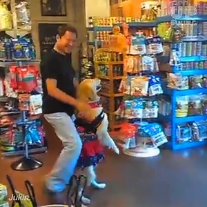 52K views · 164 reactions | This man and his dog put together an incredible salsa dancing routine at a pet store !!! Credit: JukinMedia | Upswing | Facebook