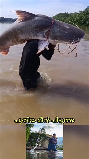പുതിയ മീൻ പിടുത്തം #mallutraveler#fishingfreaks#shortsX#mallu#malayalam#m4tech