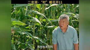 二龙湖浩哥