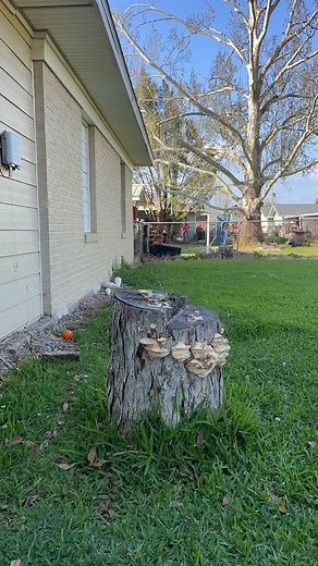 Was not expecting this #fyp