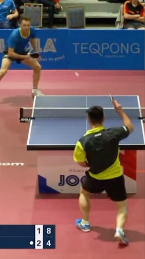 This point will never get old for us 🤩 @lubopistej @joolausa #joola #tabletennis #TeamJOOLA | JOOLA Table Tennis