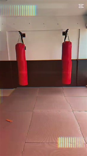 nueva sede bull academy