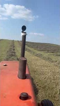 Round baling: Allis Chalmers 180 & Vermeer 605L.