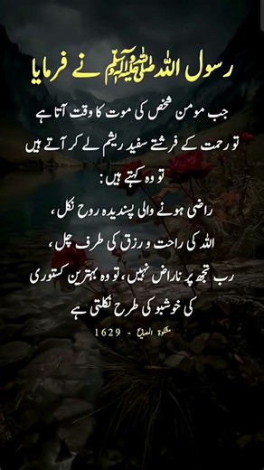 #القرآن #سورة_الكوثر #سورة الكافرون #سورة النصر #سورة المسد #سبحان_الله
