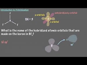 Introduction to Hybridization