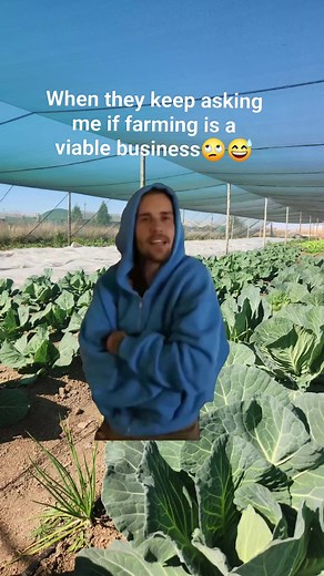 Lol😀 #farming #farmlife #horticulture | Nyasha Sandra Chikanya