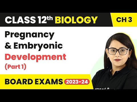 Class 12 Biology Chapter 3 |Pregnancy & Embryonic Development (Part 1)- Human Reproduction CBSE/NEET