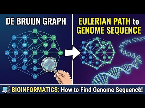 How to Find Genome Sequence from Eulerian Path | De Bruijn Graph Tutorial in Bangla