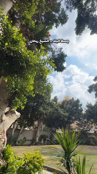 اكتشاف كافيهات وسط البلد في القاهرة