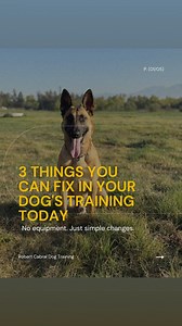 12K views · 207 reactions | Most training advice makes things sound...