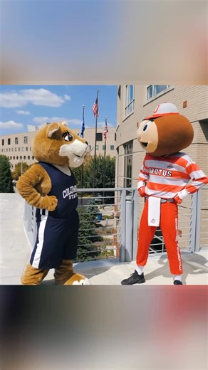 Sticking together for broader access, more degrees, and less debt. With Buckeye Bridge, a new partnership between Columbus State and The Ohio State University, we are doubling down on our mission to get more Ohioans the education they need to succeed. Building a brighter future for all of us. Learn more at cscc.edu/buckeyebridge or use the link in our bio. | Columbus State Community College