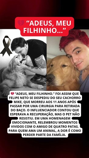 🖤LUTO: FELIPE NETO se despede do cachorro Mike: “Adeus, meu filhinho”