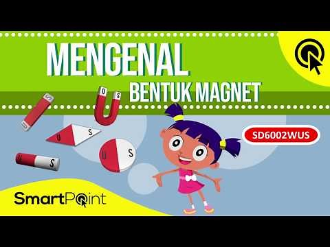 Macam-macam Magnet (SmartPoint SD6002WUS)